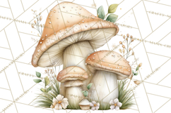 Baby Woodland Creatures, Forest Animals, Nursery Clipart PNG Product Image 3
