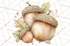 Baby Woodland Creatures, Forest Animals, Nursery Clipart PNG Product Image 4