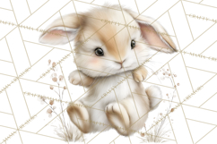 Baby Woodland Creatures, Forest Animals, Nursery Clipart PNG Product Image 3