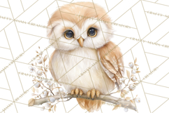 Baby Woodland Creatures, Forest Animals, Nursery Clipart PNG Product Image 2
