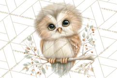 Baby Woodland Creatures, Forest Animals, Nursery Clipart PNG Product Image 3
