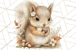 Baby Woodland Creatures, Forest Animals, Nursery Clipart PNG Product Image 5