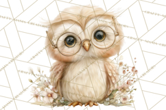 Baby Woodland Creatures, Forest Animals, Nursery Clipart PNG Product Image 5