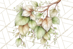 Baby Woodland Creatures, Forest Animals, Nursery Clipart PNG Product Image 5