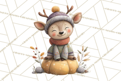 Cozy Woodland Animals Clip Art, Fall Forest Animals Png Product Image 5