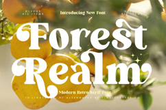Forest Realm - Modern Retro Serif Font Product Image 1
