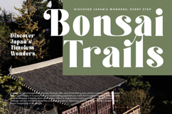 Forest Sunrise - Bold Serif Display Font Product Image 16