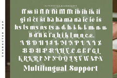 Forest Sunrise - Bold Serif Display Font Product Image 19