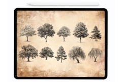 Forest Trees Procreate Stamps - Procreate Brushes