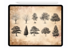 Forest Trees Procreate Stamps - Procreate Brushes