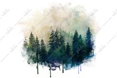 Forest Watercolor Pine Tree Sublimation Clipart PNG JPG Product Image 1