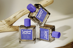 Forest Wonders - New Collection Serif Product Image 4