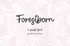 Forestborn Script Product Image 1