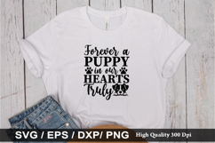 Forever a puppy in our hearts truly SVG - Dog Quotes Design Product Image 1