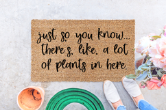 Foreverbelle Script Product Image 4