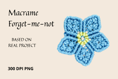 Macrame Forget-me-not Flower PNG Botanical Clipart Product Image 1