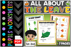 All About Leaf Activities | Plant Science Unit Product Image 2