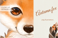 Autumn fox | PNG illustrations Product Image 4