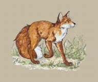 Simple Fox Cross stitch pattern PDF Fox embroidery Product Image 8