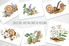 Fragrant Plants Compositions Botanical Watercolor PNG JPG Product Image 2