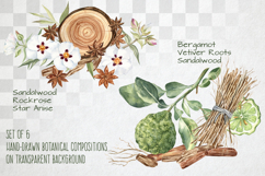 Fragrant Plants Compositions Botanical Watercolor PNG JPG Product Image 3