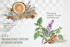 Fragrant Plants Compositions Botanical Watercolor PNG JPG Product Image 4