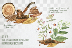 Fragrant Plants Compositions Botanical Watercolor PNG JPG Product Image 5