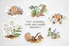 Fragrant Plants Compositions Botanical Watercolor PNG JPG Product Image 6