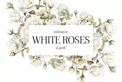Watercolor White Roses Clipart - Watercolor Floral clipart Product Image 1