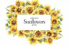 Sunflower frames clipart. Watercolor sunflowers frame PNG Product Image 1