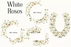 Watercolor White Roses Clipart - Watercolor Floral clipart Product Image 2