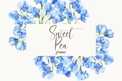 Sweet Pea Floral - Watercolor Floral Clipart Frames Product Image 1