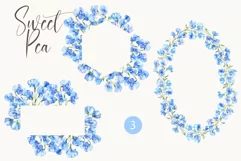 Sweet Pea Floral - Watercolor Floral Clipart Frames Product Image 2
