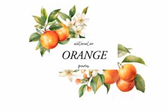 Watercolor Orange Clipart -Citrus fruit clip art Product Image 1