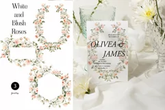 Watercolor White Roses Clipart - Watercolor Floral clipart Product Image 2