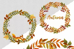 Frames and wreaths of autumn leaves Product Image 2