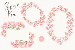 Sweet Pea Floral - Watercolor Floral Clipart Frames Product Image 2