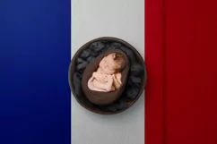 Backgrounds for Photography & Marketing. France Product Image 4