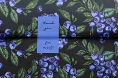 Blueberry vector patterns set Product Image 11