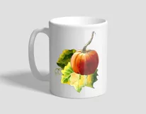 Pumpkin clipart | PNG for sublmation Product Image 5