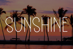 Freedom Product Image 2