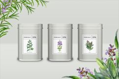 Apothecary Herbs Illustration Set Product Image 16