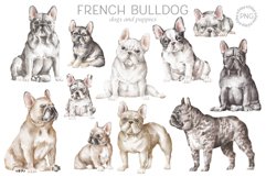 French Bulldog Product Image 1