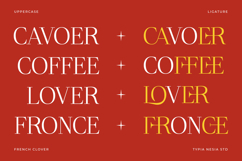 French Clover - Beauty Elegant Ligature Serif Product Image 5