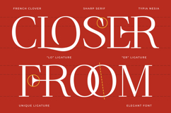 French Clover - Beauty Elegant Ligature Serif Product Image 8