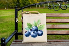 Fresh Blueberries Watercolor Sublimation Clipart Product Image 6