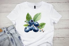 Fresh Blueberries Watercolor Sublimation Clipart Product Image 5
