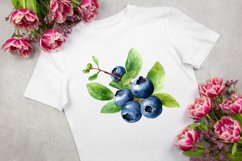 Fresh Blueberries Watercolor Sublimation Clipart Product Image 4