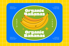 Fresh Chunky Retro Groovy Sans Display Product Image 12