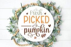 Fresh picked pumpkins Sign SVG Product Image 1